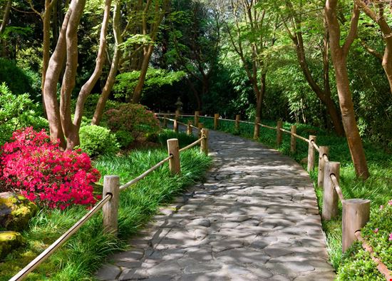 Japanese Tea Garden Japanese Tea Garden Andrew Zarivny - Shutterstock.com 