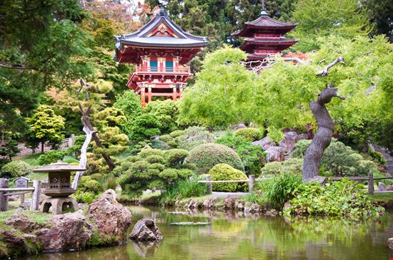 Japanese Tea Garden Japanese Tea Garden CatchaSnap - Shutterstock.com 