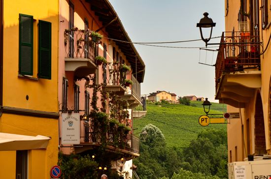 Strada del Barolo Un viaggio nel gusto del Piemonte Massimo Parisi / Shutterstock.com 