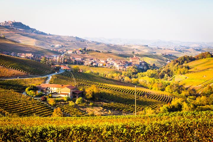 Sono stata nelle Langhe e ho trovato il re dell'autunno: ha meno di 600 abitanti ma è la vera capitale del vino