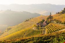 Strada del Barolo