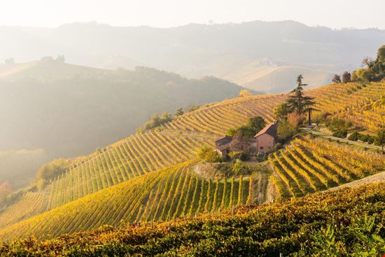 Strada del Barolo Un viaggio nel gusto del Piemonte Pi_Kei - Shutterstock.com 