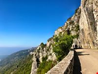 Strada Napoleonica