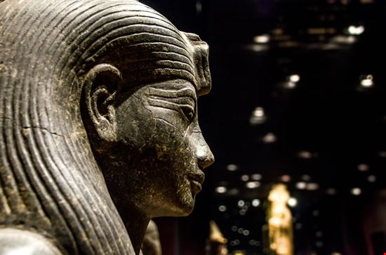 Museo Egizio Museo Egizio Luca Lorenzelli / Shutterstock.com 