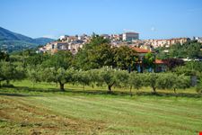 Velletri