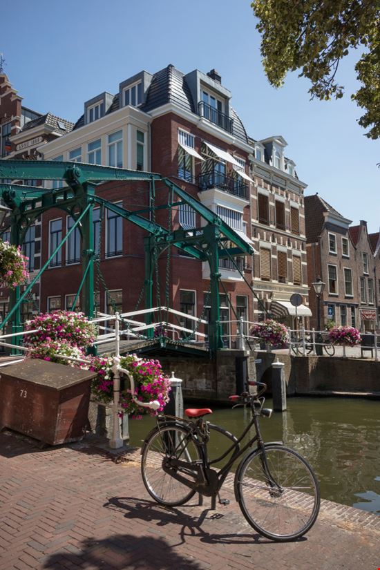 Leiden Leiden Picture Partners - Shutterstock.com 