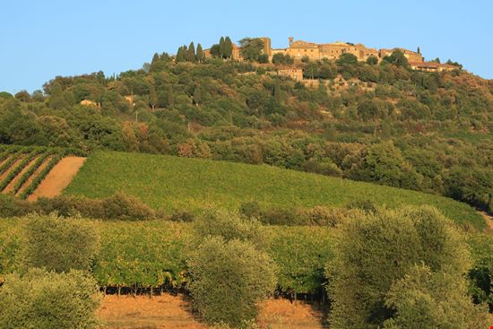 Montalcino Sant'Angelo in Colle stock.adobe.com 