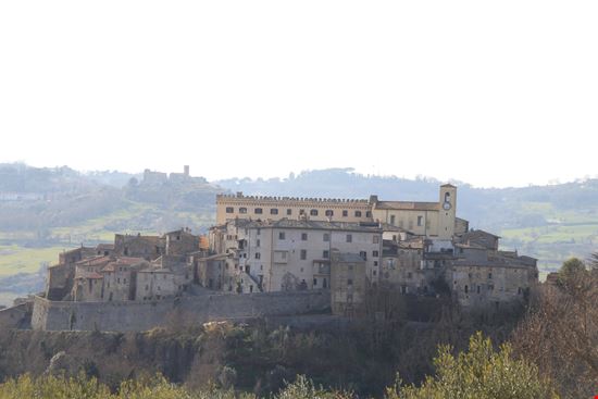 Montalcino Sant'Angelo in Colle stock.adobe.com 
