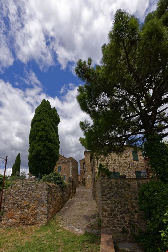 Montalcino Sant'Angelo in Colle stock.adobe.com 