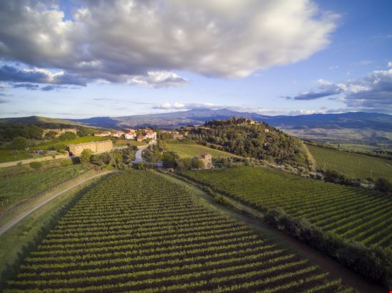 Montalcino Sant'Angelo in Colle stock.adobe.com 