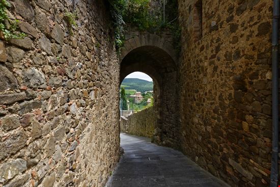 Montalcino Sant'Angelo in Colle stock.adobe.com 