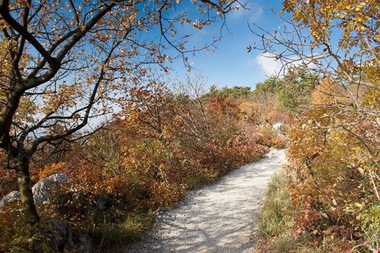 Sentiero Rilke Il sentiero da non perdere in Friuli Venezia Giulia stock.adobe.com 