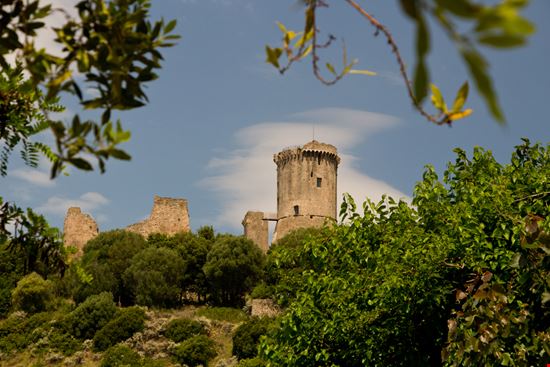 Velia Velia Mayo04 / Shutterstock.com 