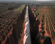 Castagneto Carducci