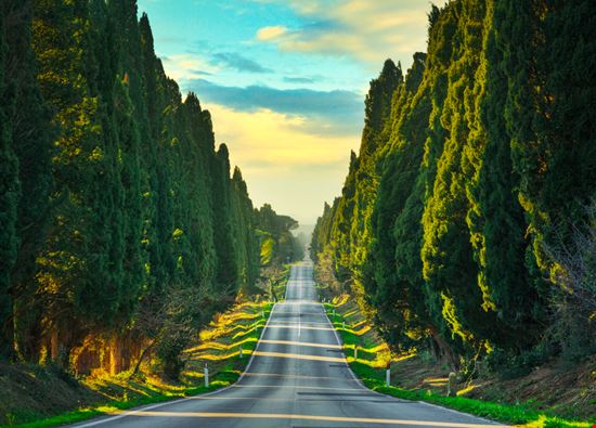 Castagneto Carducci Viale dei Cipressi Shutterstock.com 