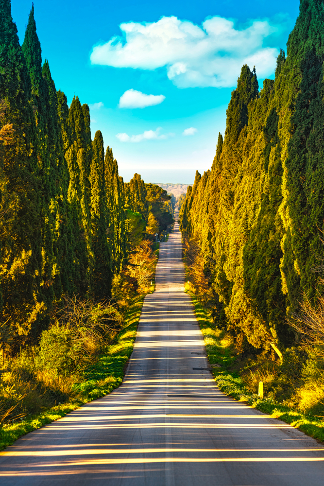 Castagneto Carducci