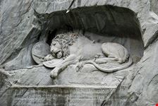 Lucerna