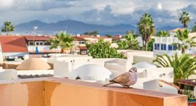Fuerteventura