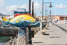 Fuerteventura