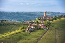Barbaresco