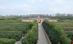 Labirinto della Masone