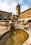 Fontana Contarini