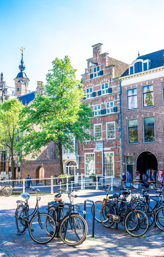 Delft Delft Olena Tselykh / Shutterstock.com 