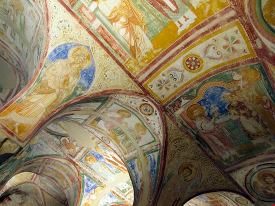 Aquileia Aquileia silky - Shutterstock.com 