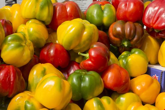 Peperone di Carmagnola Peperone di Carmagnola Andrea_Caliendo - Shutterstock.com 