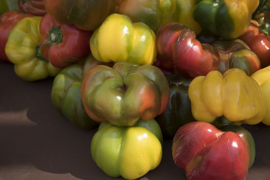 Peperone di Carmagnola Peperone di Carmagnola Andrea_Caliendo - Shutterstock.com 