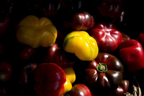 Peperone di Carmagnola Peperone di Carmagnola Andrea_Caliendo - Shutterstock.com 