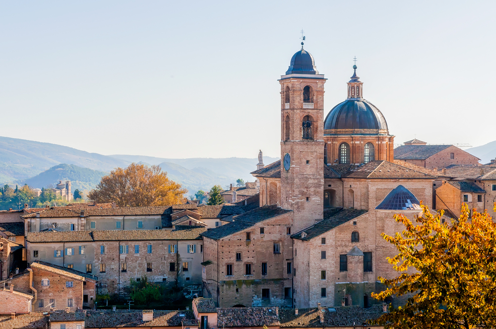Urbino