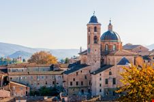 Urbino
