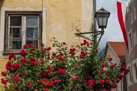 Glorenza Glorenza lorenza62 - Shutterstock.com 
