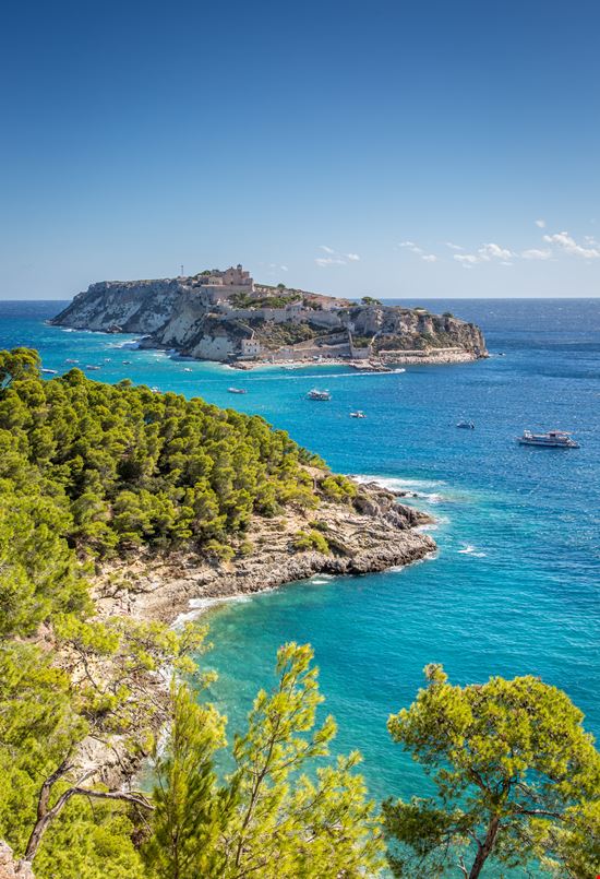 Isole Tremiti Isola di San Nicola stock.adobe.com 