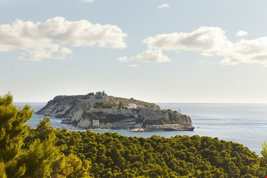 Isole Tremiti Isola di San Nicola stock.adobe.com 