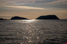 Procida