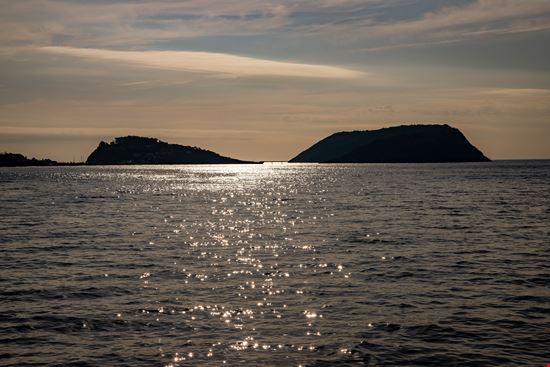 Procida Vivara stock.adobe.com 