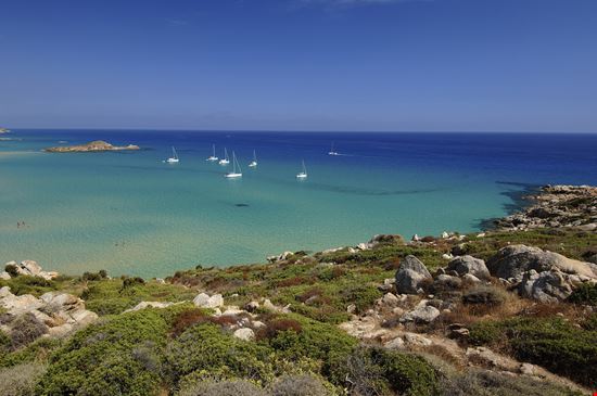 Spiaggia Su Giudeu La spiaggia da sogno dell'estate in Sardegna stock.adobe.com 