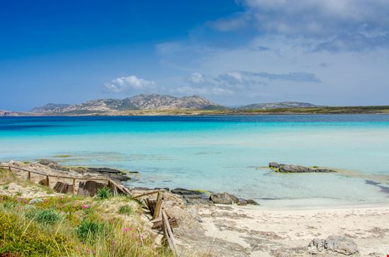 Stintino Spiaggia de La Pelosa Shutterstock.com 