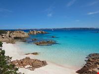 Spiaggia rosa