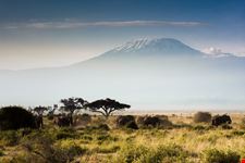 Kilimanjaro