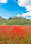 Norcia