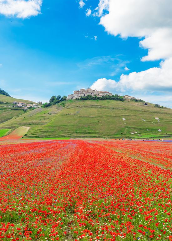 Norcia Altipiano di Castelluccio Shutterstock.com 