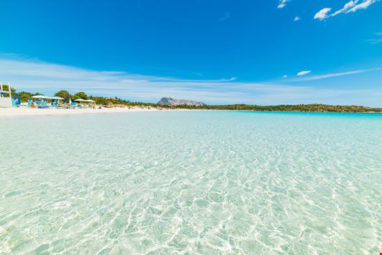 Cala Brandinchi Cala Brandinchi Gabriele Maltinti - Shutterstock.com 