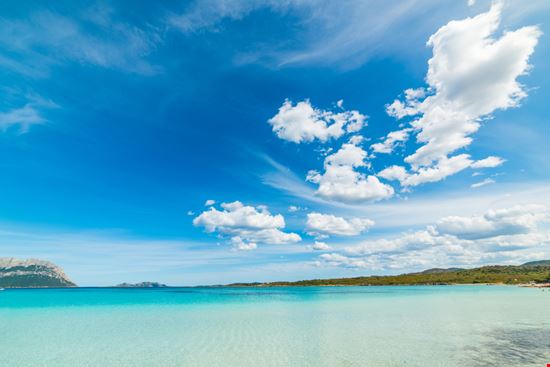 Cala Brandinchi Cala Brandinchi Gabriele Maltinti - Shutterstock.com 