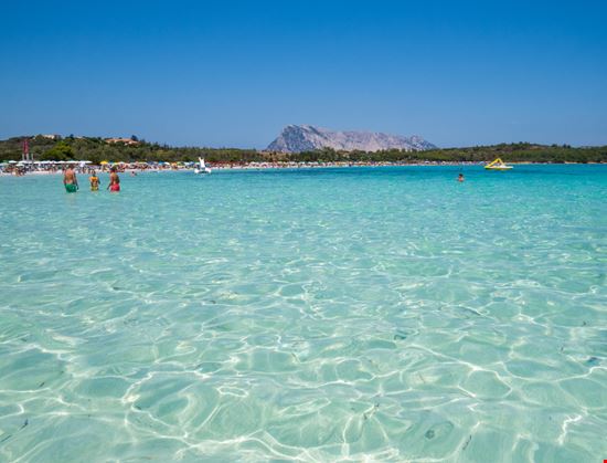 Cala Brandinchi Cala Brandinchi Diego Fiore / Shutterstock.com 