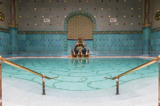 Gellert Gellert Martchan / Shutterstock.com 