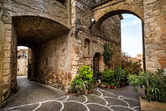 Bibbona Bibbona robertonencini - Shutterstock.com 