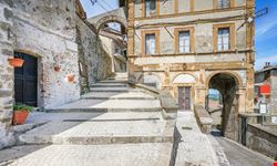 Artena